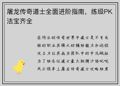屠龙传奇道士全面进阶指南，练级PK法宝齐全